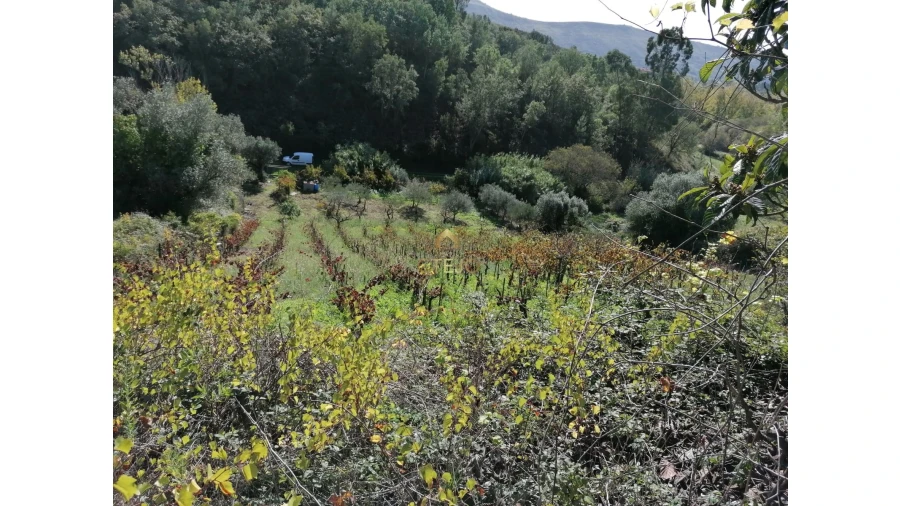 Terreno para Venda em Bucelas Foto 6