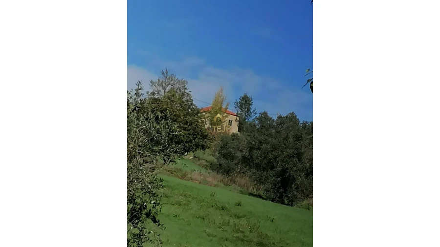 Terreno para Venda em Bucelas Foto 12