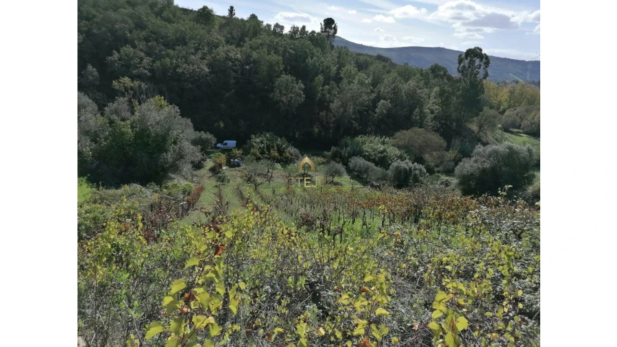 Terreno para Venda em Bucelas Foto 4