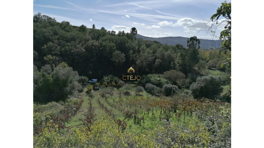 Terreno para Venda em Bucelas Foto 3