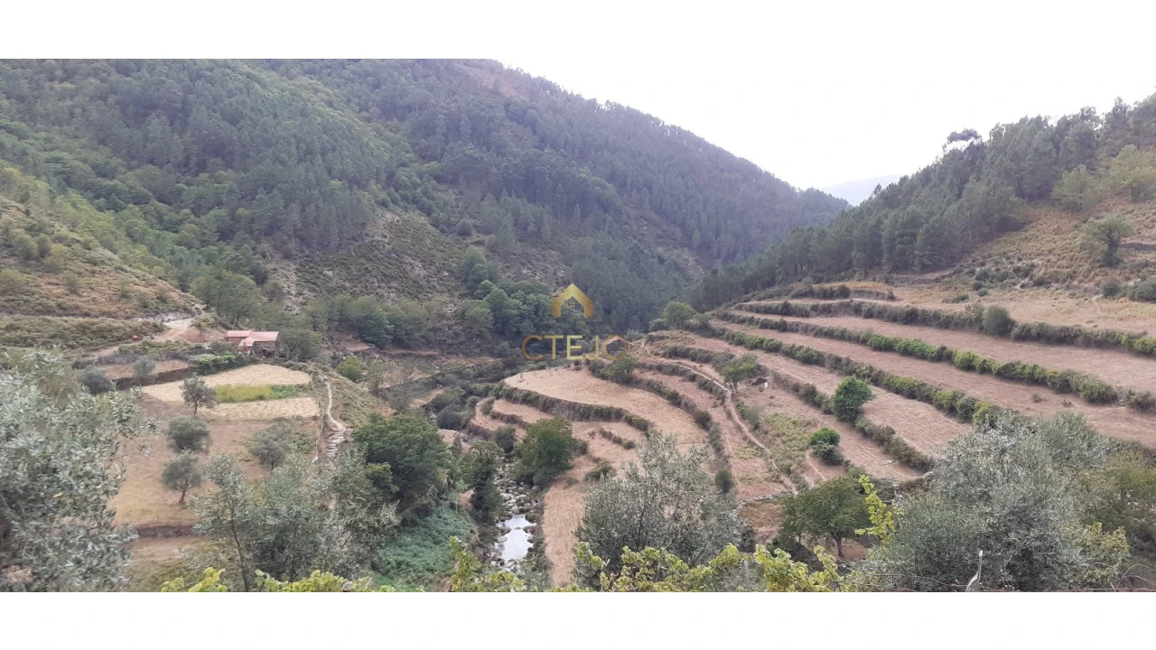 Terreno para Venda em Loriga Foto 6
