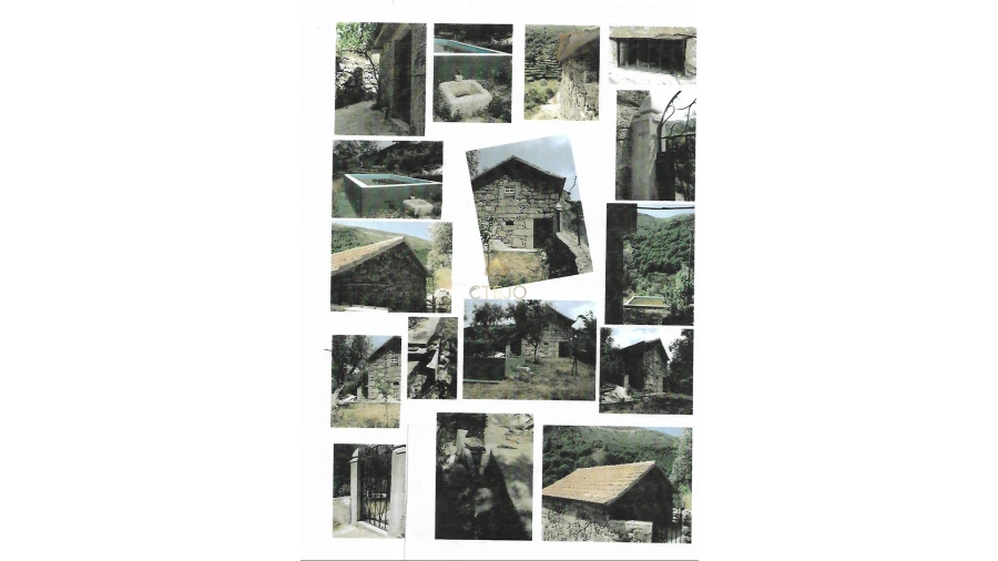 Terreno para Venda em Loriga Foto 4