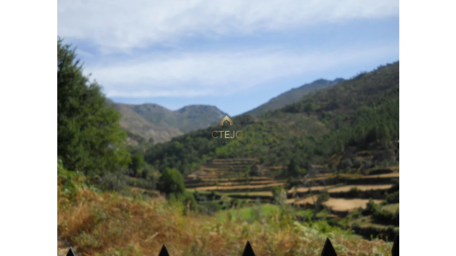 Terreno para Venda em Loriga Foto 8
