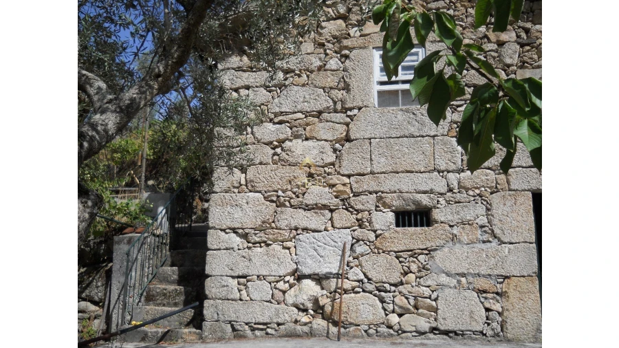 Terreno para Venda em Loriga Foto 15