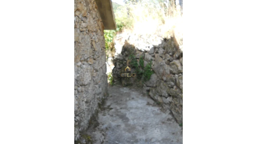 Terreno para Venda em Loriga Foto 7