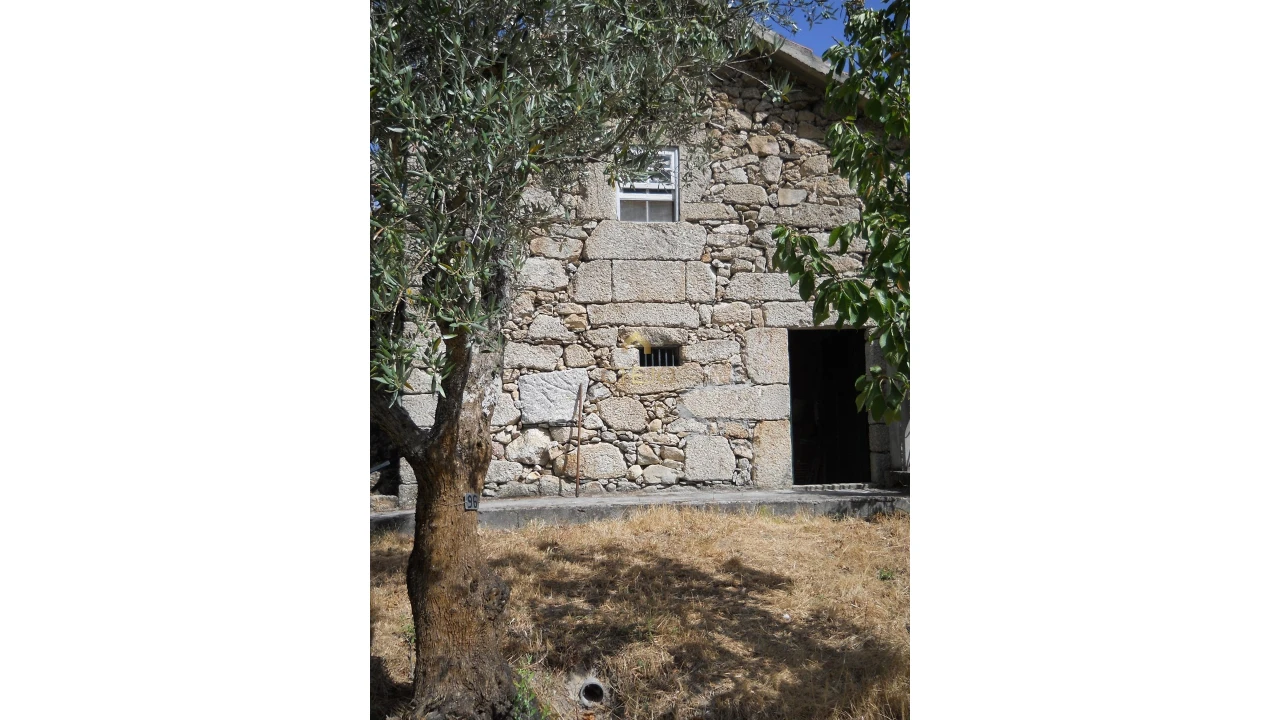 Terreno para Venda em Loriga Foto 13