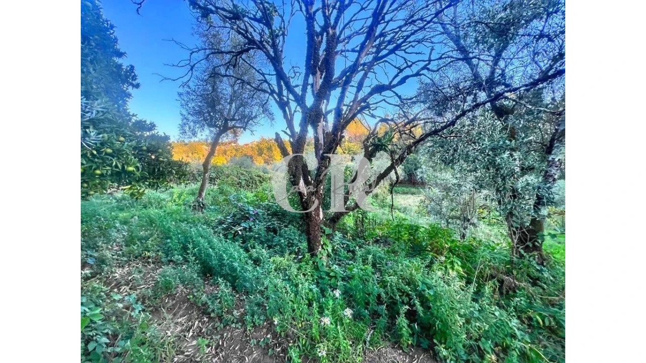 Moradia T3 para Venda em Figueiró dos Vinhos e Bairradas Foto 7