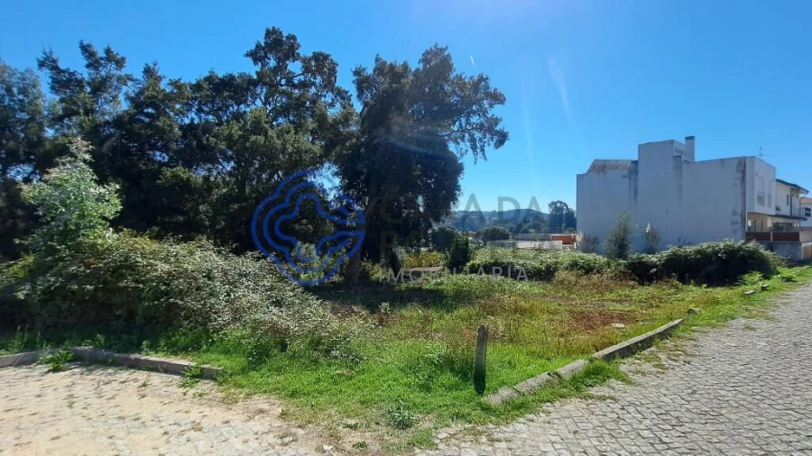 Terreno para Venda em Milheiros Foto 8