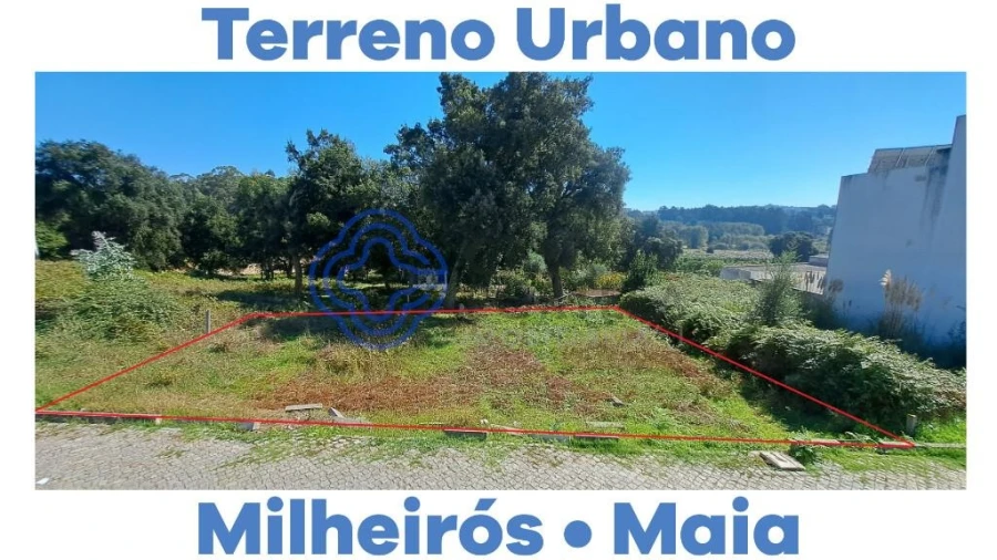 Terreno para Venda em Milheiros Foto 5