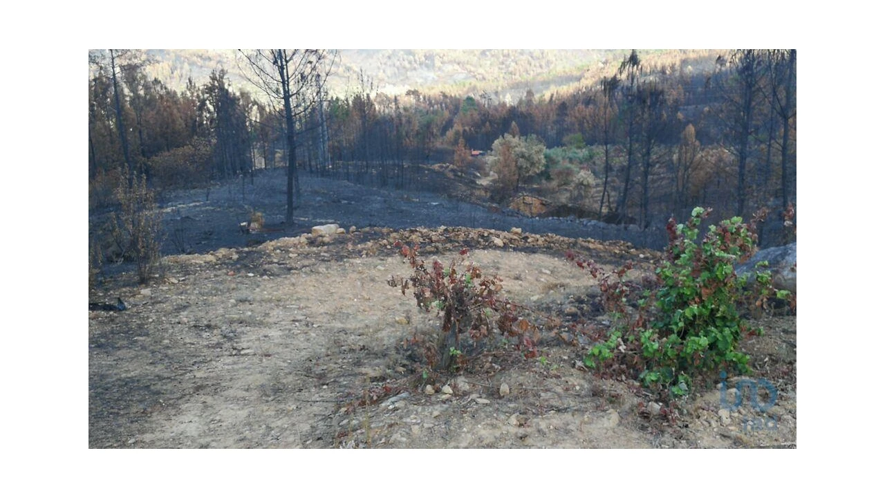 Terreno para Venda em Montes da Senhora Foto 3