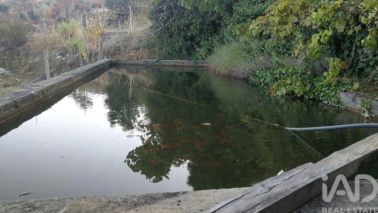 Terreno para Venda em Montes da Senhora Foto 17