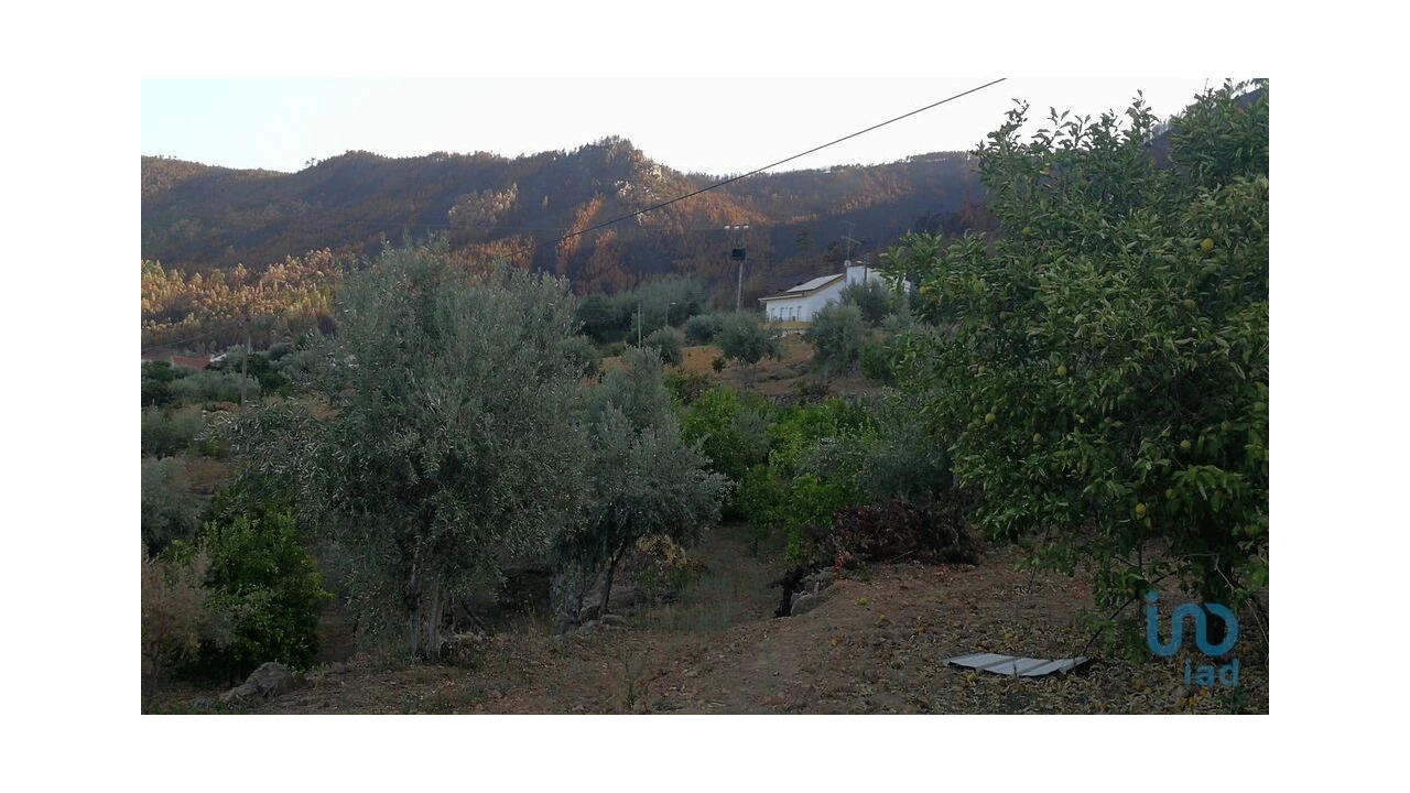 Terreno para Venda em Montes da Senhora Foto 4