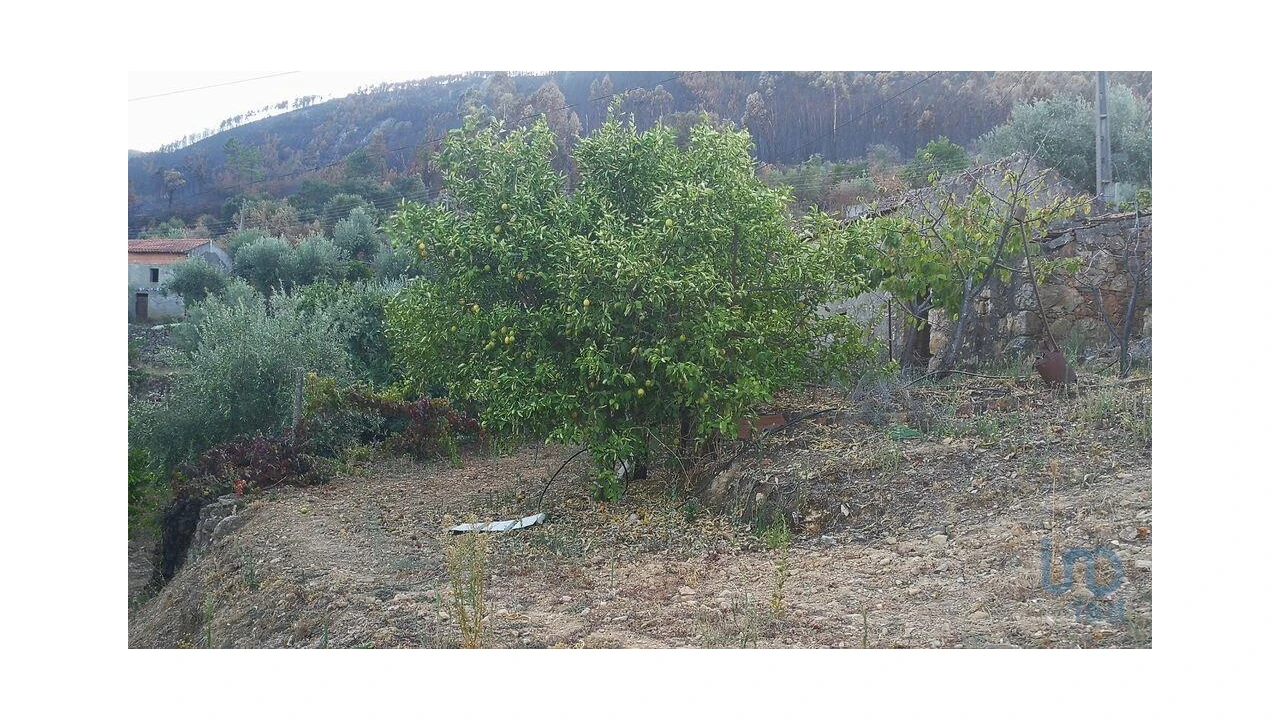 Terreno para Venda em Montes da Senhora Foto 1