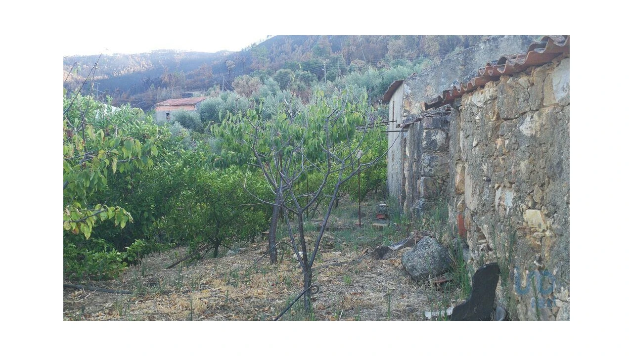 Terreno para Venda em Montes da Senhora Foto 5