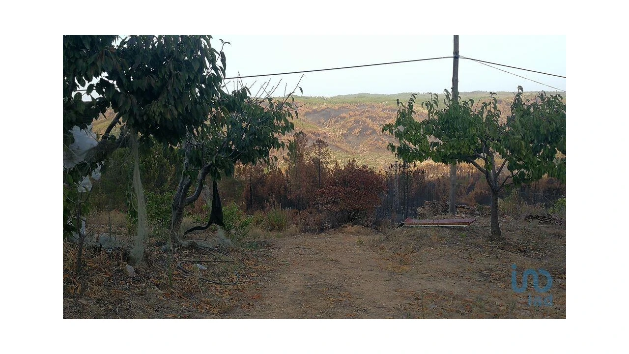 Terreno para Venda em Montes da Senhora Foto 6