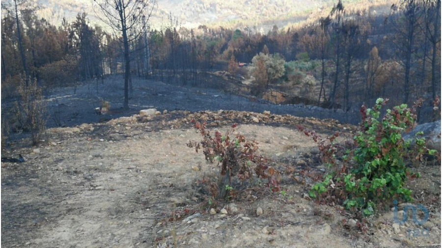 Terreno para Venda em Montes da Senhora Foto 3