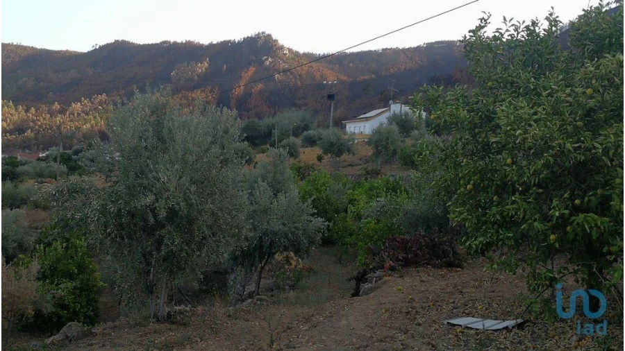 Terreno para Venda em Montes da Senhora Foto 4