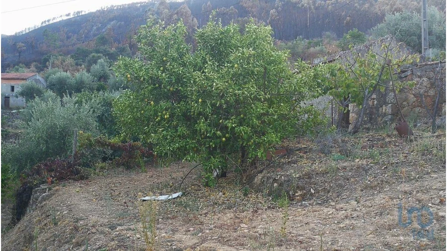 Terreno para Venda em Montes da Senhora Foto 1