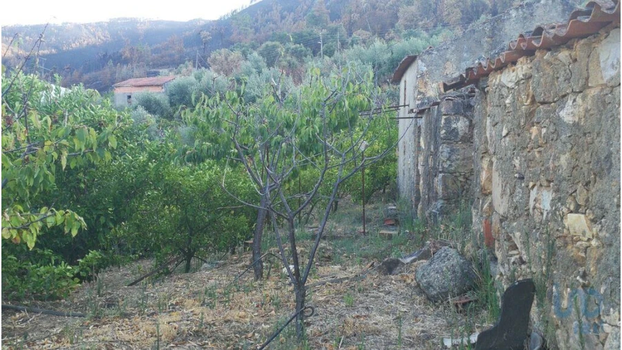 Terreno para Venda em Montes da Senhora Foto 5