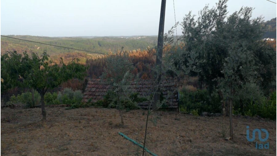 Terreno para Venda em Montes da Senhora Foto 7
