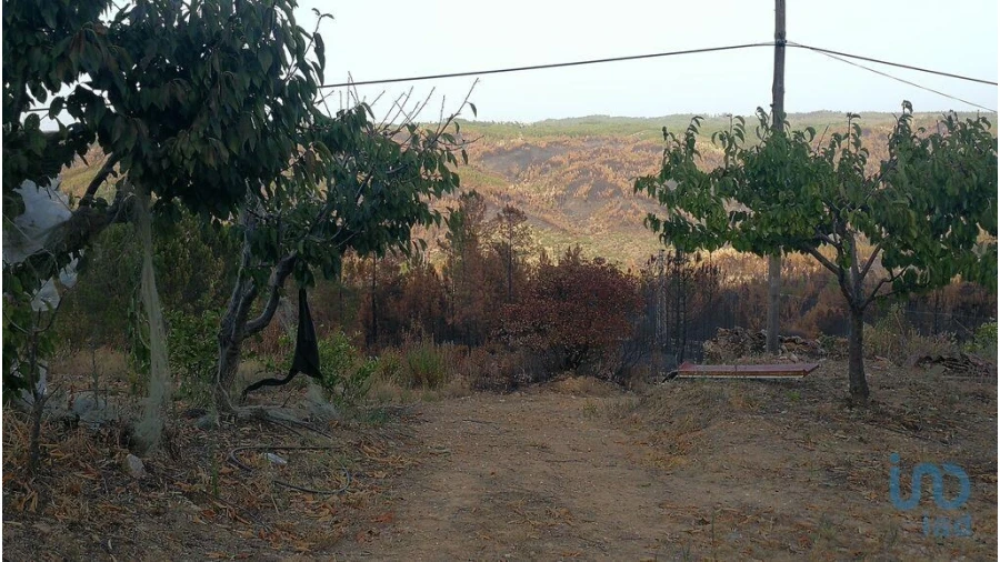 Terreno para Venda em Montes da Senhora Foto 6