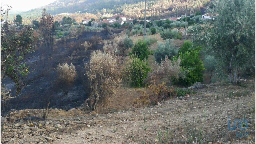 Terreno para Venda em Montes da Senhora Foto 2