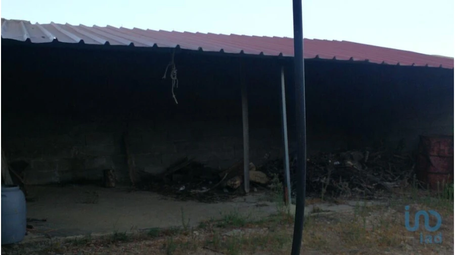 Terreno para Venda em Montes da Senhora Foto 11