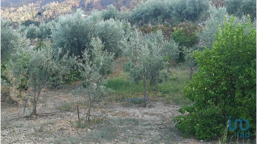 Terreno para Venda em Montes da Senhora Foto 8