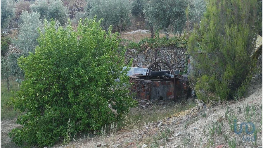 Terreno para Venda em Montes da Senhora Foto 9
