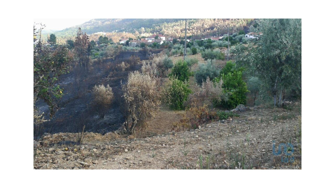 Terreno para Venda em Montes da Senhora Foto 2