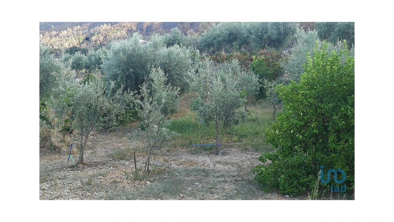 Terreno para Venda em Montes da Senhora Foto 8