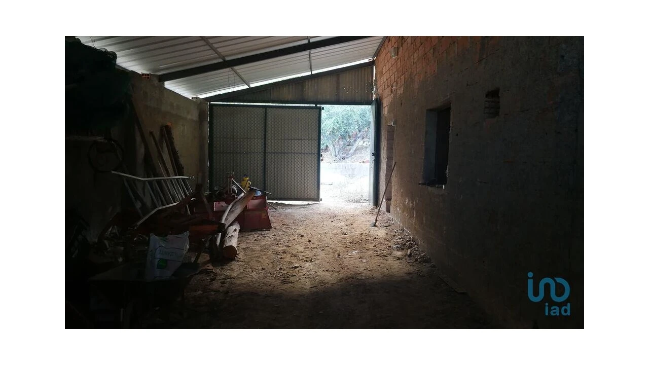 Terreno para Venda em Montes da Senhora Foto 12