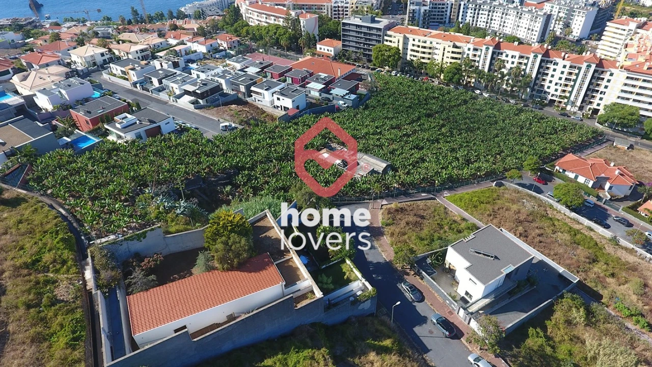 Terreno para Venda em São Martinho Foto 6
