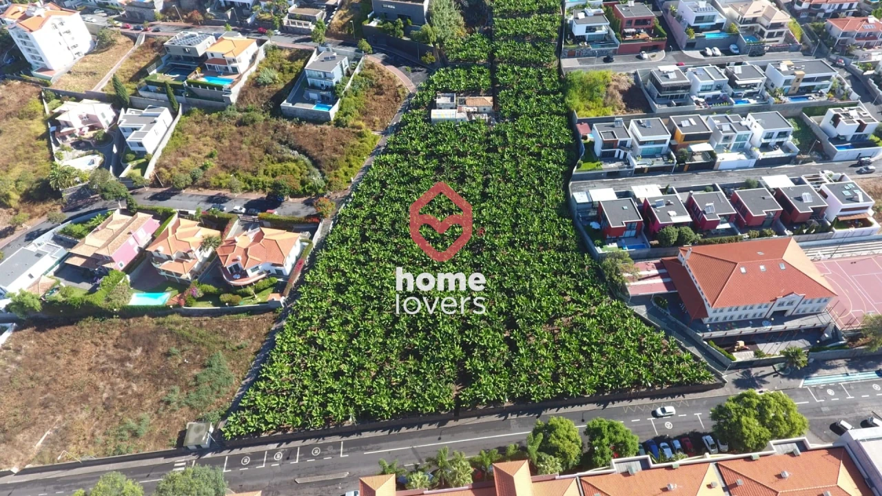 Terreno para Venda em São Martinho Foto 1