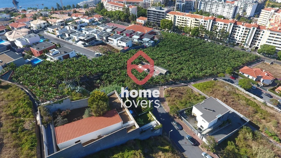 Terreno para Venda em São Martinho Foto 6