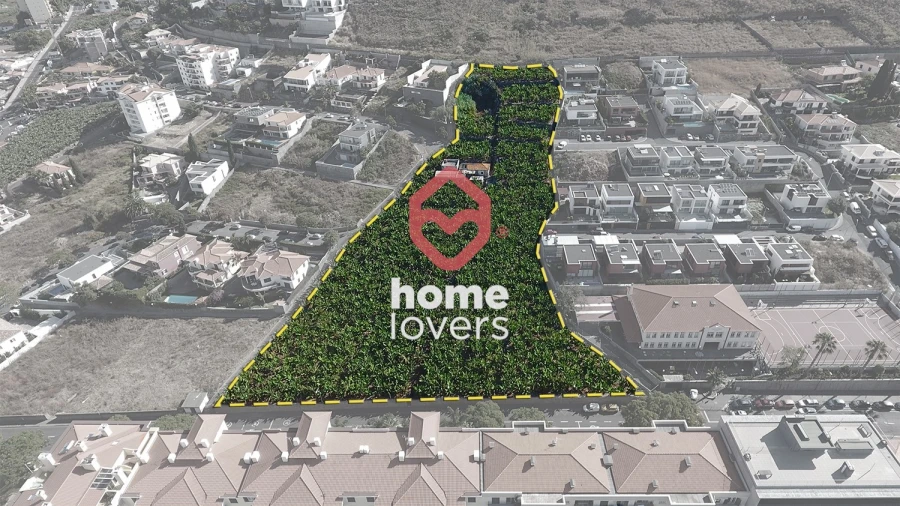 Terreno para Venda em São Martinho Foto 2