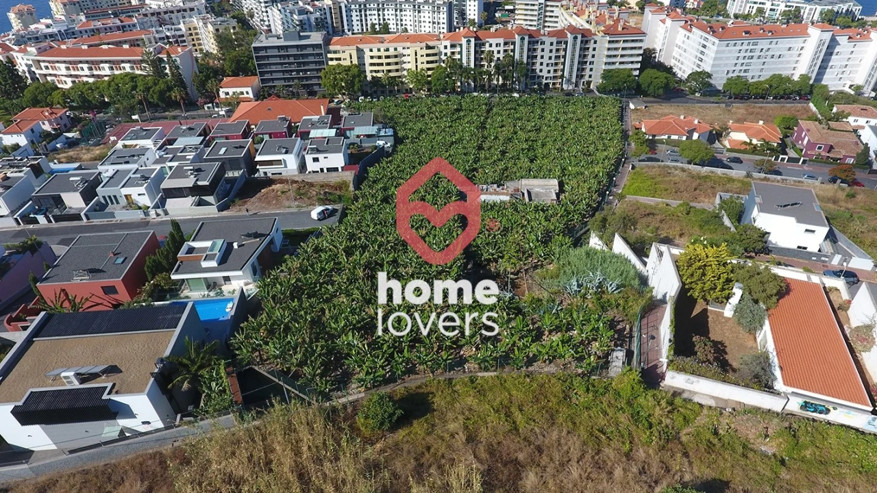 Terreno para Venda em São Martinho Foto 5