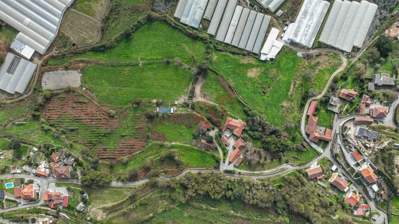 Quinta T6 para Venda em Airão Santa Maria, Airão São João e Vermil Foto 29