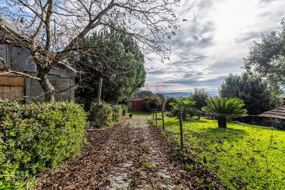 Quinta T6 para Venda em Airão Santa Maria, Airão São João e Vermil Foto 8