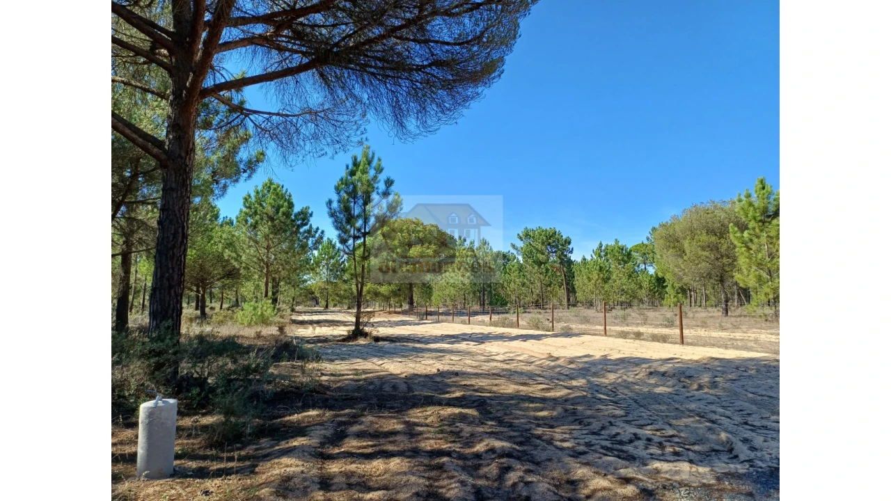 Terreno Misto para Venda em Melides Foto 9