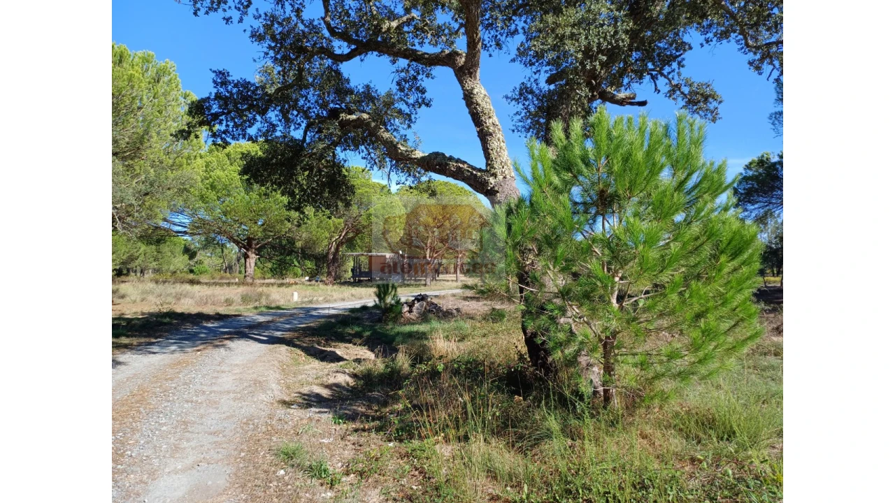 Terreno Misto para Venda em Melides Foto 10