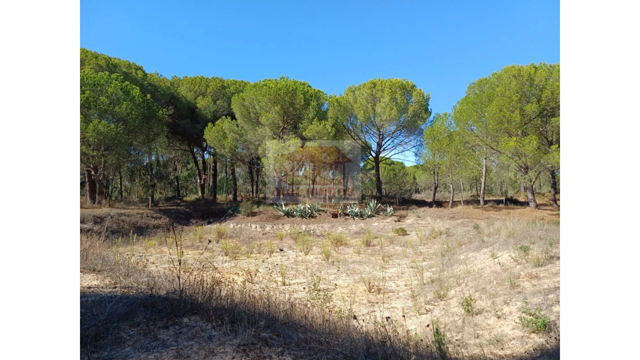 Terreno Misto para Venda em Melides Foto 11