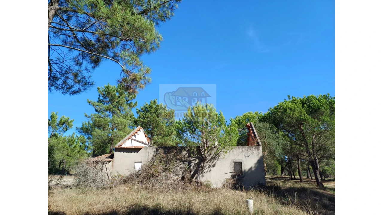 Terreno Misto para Venda em Melides Foto 1