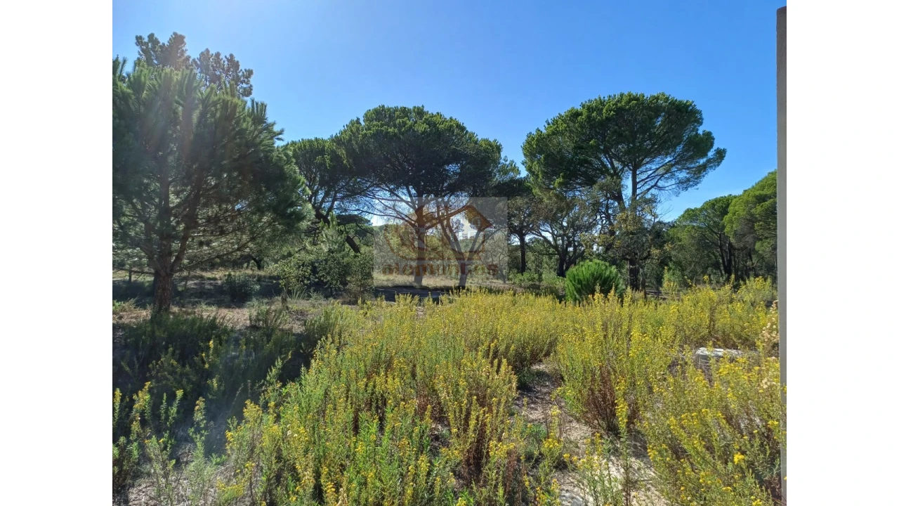 Terreno Misto para Venda em Melides Foto 3