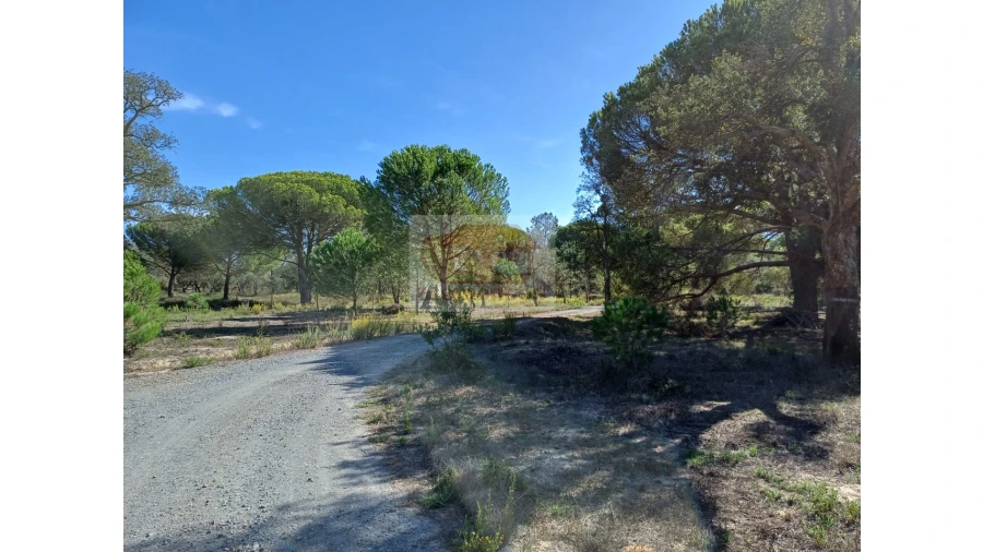 Terreno Misto para Venda em Melides Foto 8