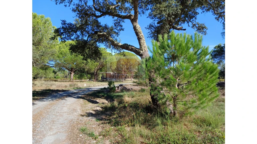 Terreno Misto para Venda em Melides Foto 10
