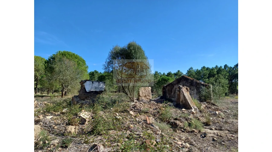 Terreno Misto para Venda em Melides Foto 12