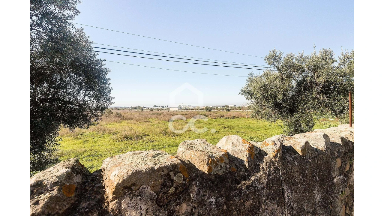 Terreno para Venda em Reguengos de Monsaraz Foto 8