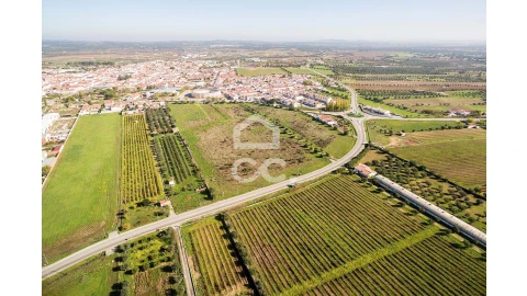 Terreno para Venda em Reguengos de Monsaraz