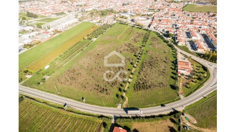 Terreno para Venda em Reguengos de Monsaraz